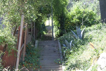 Enlarge photo 18