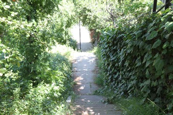 Enlarge photo 22