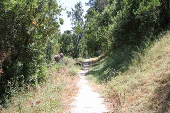 Enlarge photo 23