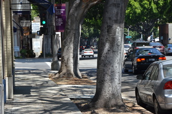 Enlarge photo 12