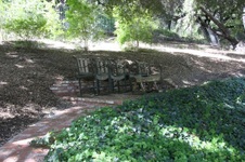 Enlarge photo 28