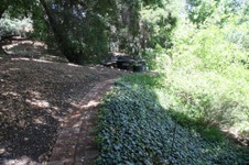Enlarge photo 30