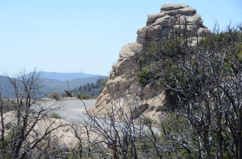 Enlarge photo 2