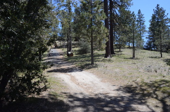 Enlarge photo 5