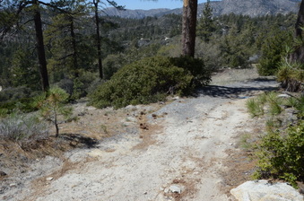 Enlarge photo 11