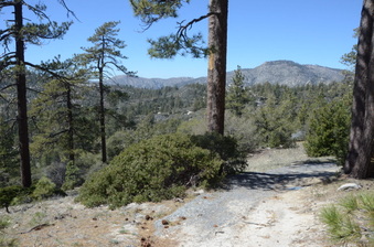 Enlarge photo 12