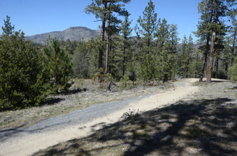 Enlarge photo 15