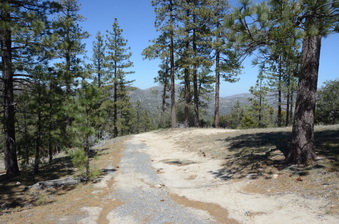 Enlarge photo 20