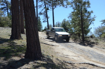 Enlarge photo 23