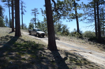 Enlarge photo 24