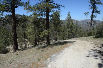 Enlarge photo 27