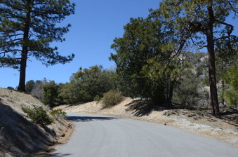 Enlarge photo 3