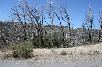Enlarge photo 4