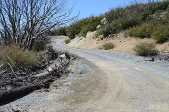 Enlarge photo 11