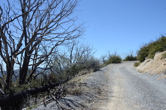 Enlarge photo 13