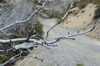 Enlarge photo 15