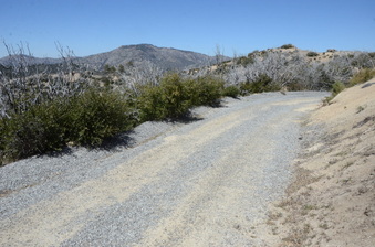 Enlarge photo 19