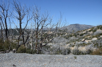 Enlarge photo 26