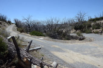 Enlarge photo 28