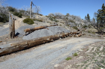 Enlarge photo 29