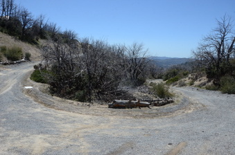 Enlarge photo 34