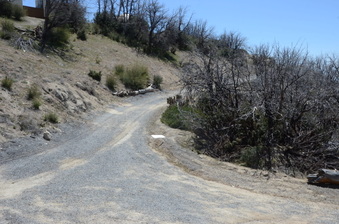 Enlarge photo 37