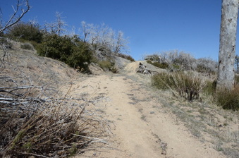 Enlarge photo 38