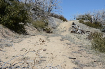 Enlarge photo 39