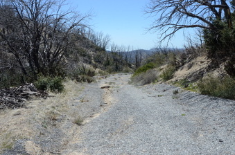Enlarge photo 41