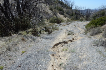 Enlarge photo 43