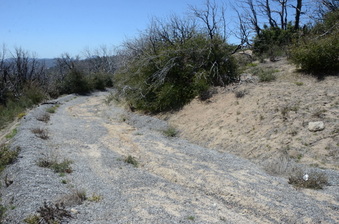 Enlarge photo 46