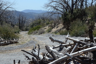 Enlarge photo 53