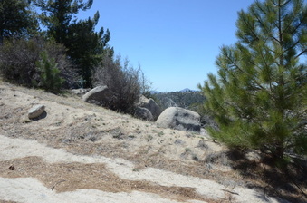 Enlarge photo 72