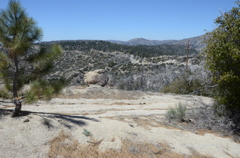 Enlarge photo 73