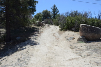 Enlarge photo 75