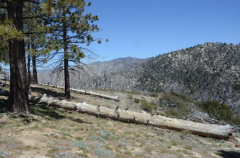 Enlarge photo 81