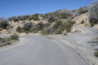 Enlarge photo 83