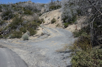 Enlarge photo 84