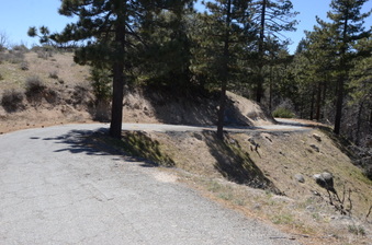 Enlarge photo 3