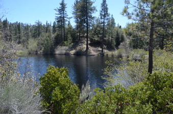 Enlarge photo 12