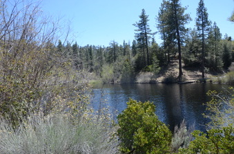 Enlarge photo 14