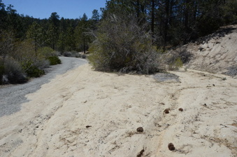 Enlarge photo 19