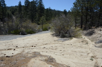 Enlarge photo 20