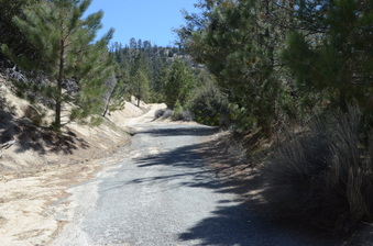 Enlarge photo 24