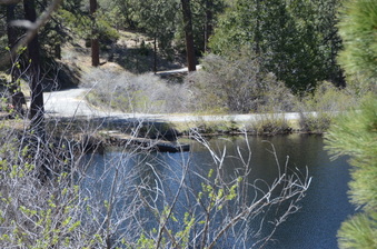 Enlarge photo 30