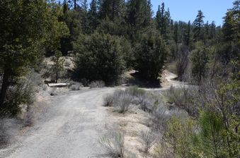Enlarge photo 31