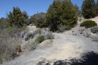 Enlarge photo 33