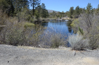 Enlarge photo 35