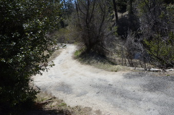 Enlarge photo 37
