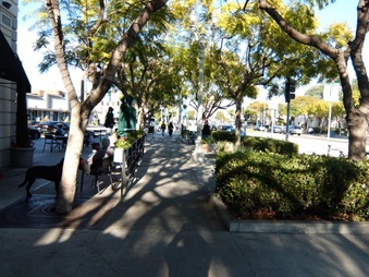 Enlarge photo 42
